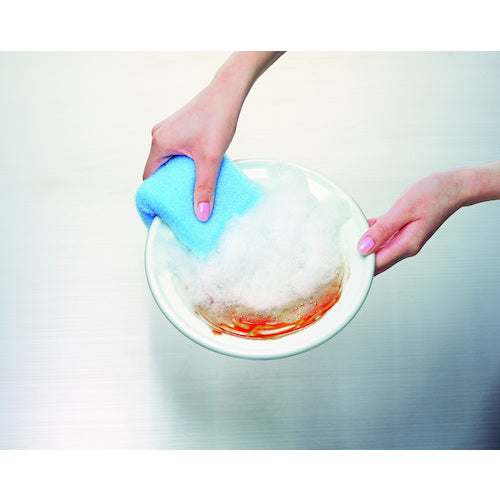 3M 스카치 브라이트 거품 서 유타카 넷 스폰지 블루 WNT-77KB 1개