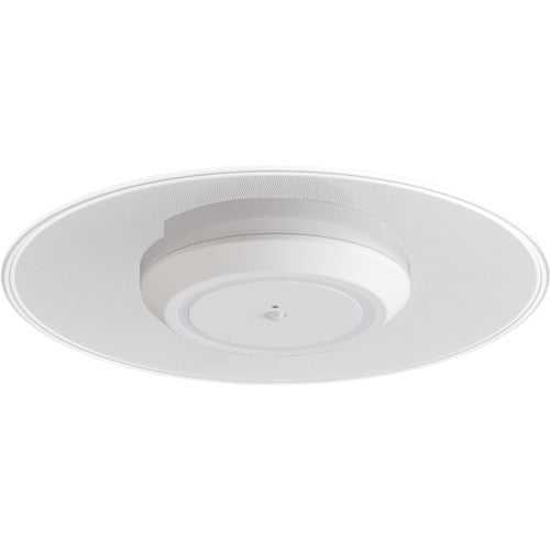 IRIS 529235 Small ceiling light with light guide plate, 1500lm, motion sensor, warm white, SCL-150LMS-LGP, 1 unit