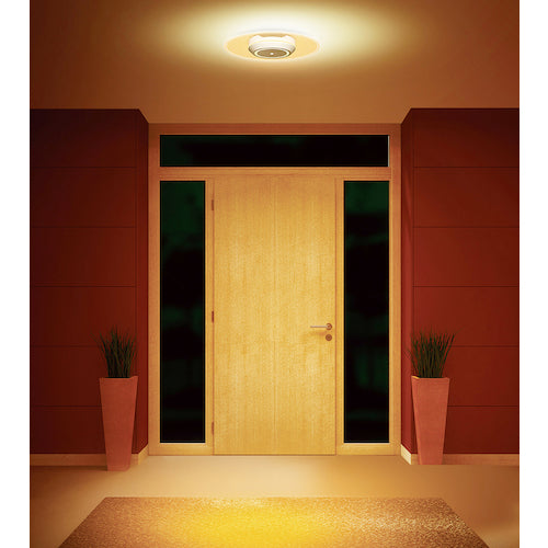 IRIS 529235 Small ceiling light with light guide plate, 1500lm, motion sensor, warm white, SCL-150LMS-LGP, 1 unit