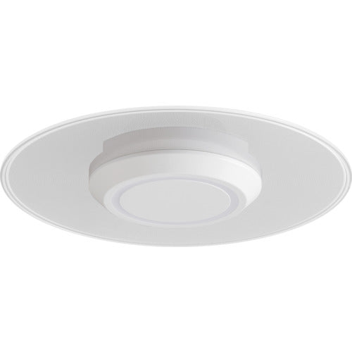IRIS 529232 Small ceiling light with light guide plate, 1500lm, daylight color, white, SCL-150D-LGP, 1 unit