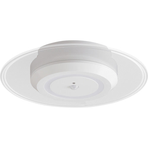 IRIS 529234 Small ceiling light with light guide plate, 750lm, motion sensor, daylight, white, SCL-75DMS-LGP, 1 unit