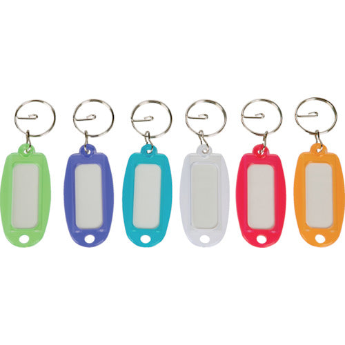 TRUSCO Name Tag Keychain Transparent 6 Colors x 1 of each Assorted TNHT-6 1 bag