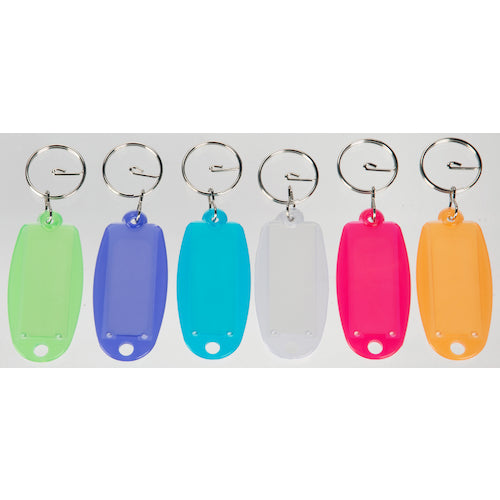 TRUSCO Name Tag Keychain Transparent 6 Colors x 1 of each Assorted TNHT-6 1 bag