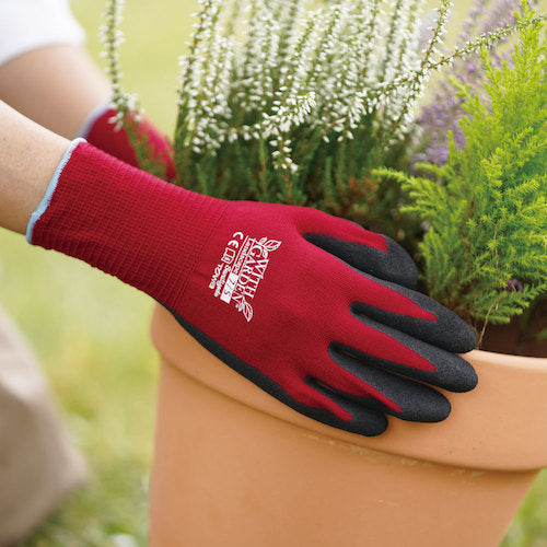 トワロン　ニトリル背抜き手袋　ＷＩＴＨＧＡＲＤＥＮランドスケープ　フォレストグリーン　７／Ｓ　W597-S　1 双