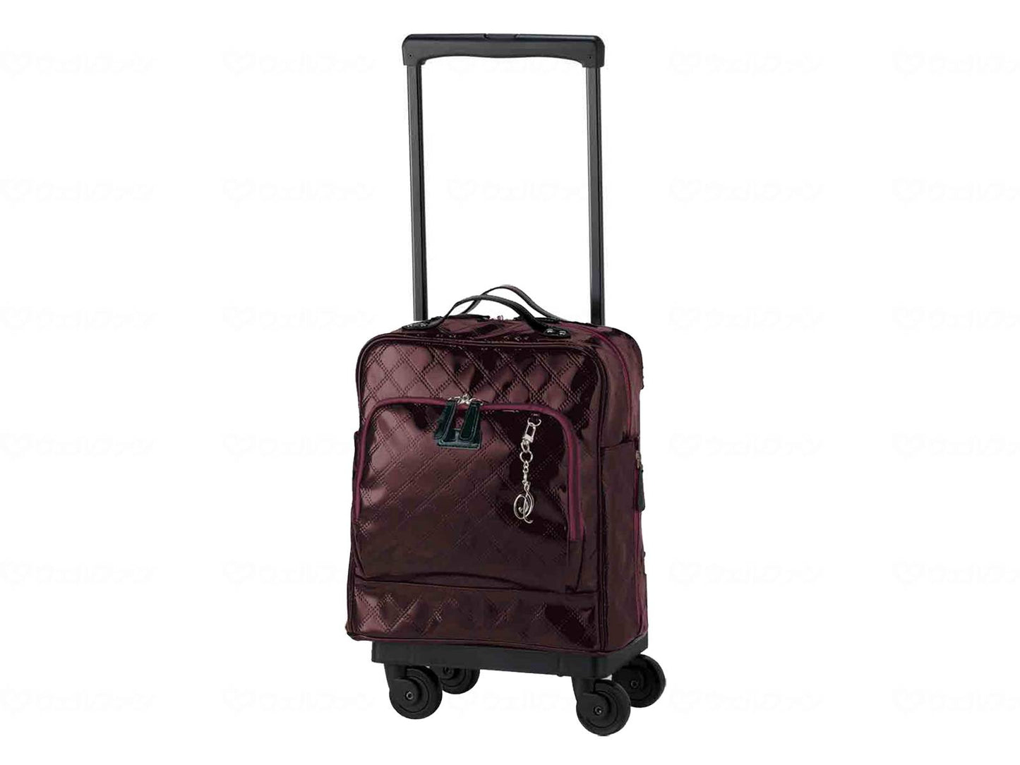 스와니 D-555 에마이 로비 V 벨드 L-21