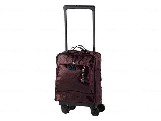 Swany D-555 Emilo V Bordeaux L-21