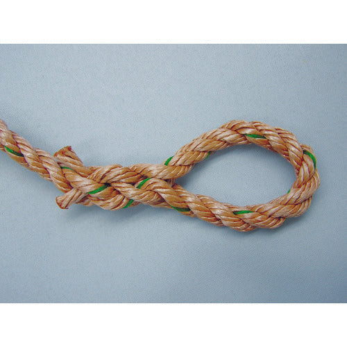 ユタカメイク　ロープ　ＰＰトラックロープ（ＯＢ）　１２×２０　TRP-5　1 巻