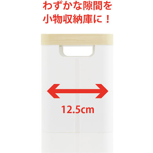 라이프 내비게이션 스마트 왜건 Fit WT55-4단 W F2542 013244 1대