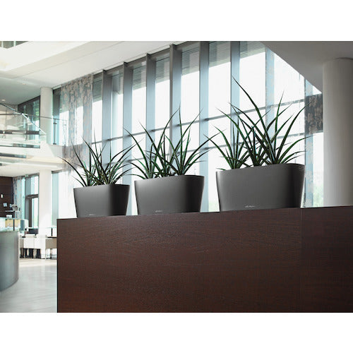 레츄자 밑면 급수 플랜터 델타 20 토용량 5L 차콜 15563 1개