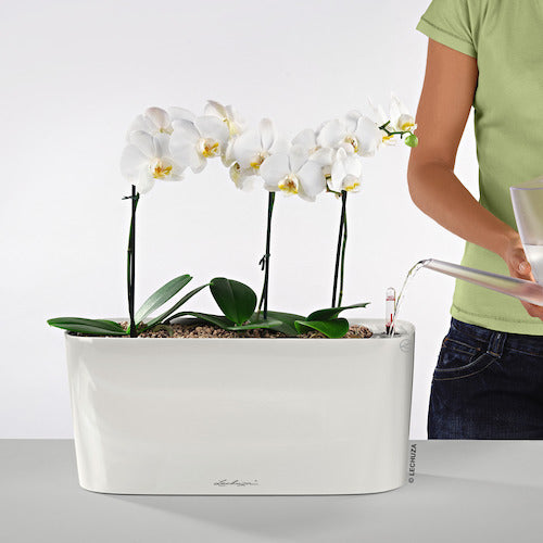 레츄자 밑면 급수 플랜터 델타 20 토용량 5L 차콜 15563 1개