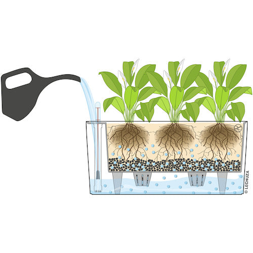 레츄자 밑면 급수 플랜터 델타 20 토용량 5L 차콜 15563 1개