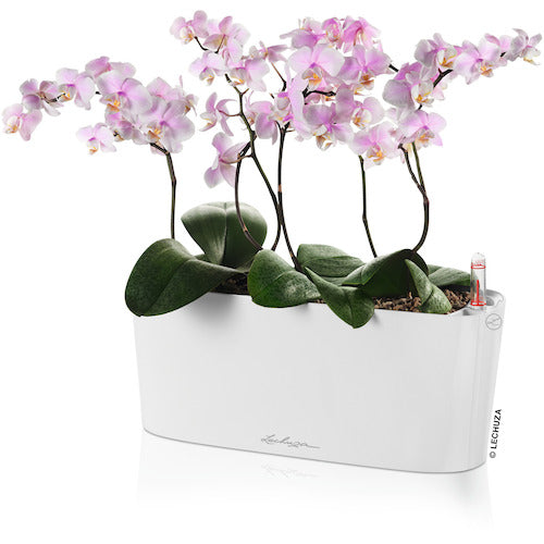 레츄자 저면 급수 플랜터 델타 20 토용량 5 L 화이트 15560 1개