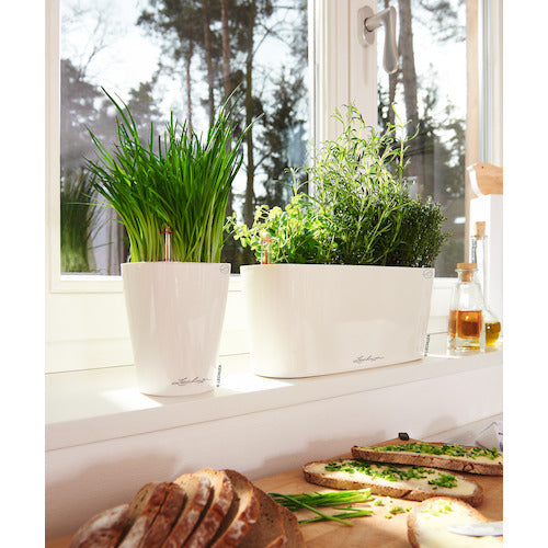 레츄자 저면 급수 플랜터 델타 20 토용량 5 L 화이트 15560 1개