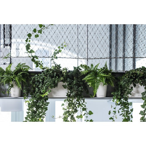 レチューザ　底面給水プランター　デルティーニ　土容量１．２Ｌ　ホワイト　14900　1 個