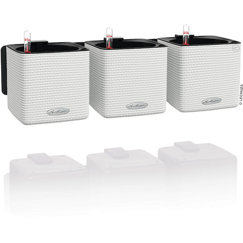 レチューザ　プランター壁取付用マグネットフック　キューブカラー１４　13397　1 個