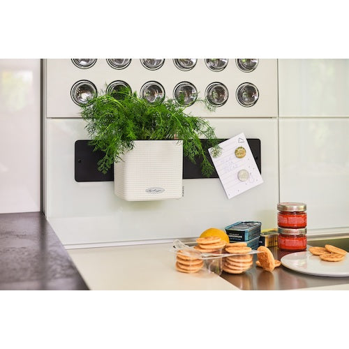 レチューザ　プランター壁取付用マグネットフック　キューブカラー１４　13397　1 個