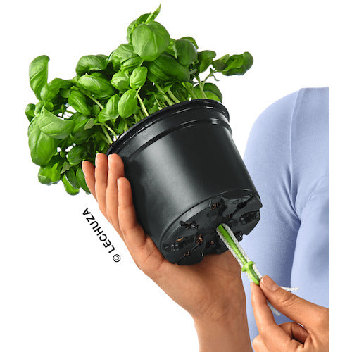 レチューザ　底面給水プランター　キューブカラー１４　スレート　13384　1 個