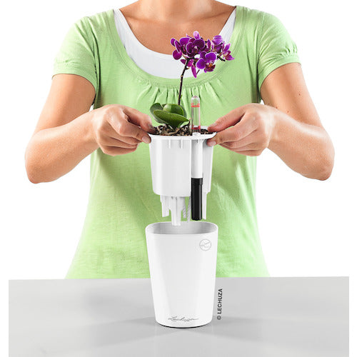 レチューザ　底面給水プランター　ミニデルティーニ　土容量０．４Ｌ　ホワイト　14950　1 個