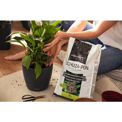 Retuza 바닥 급수 플랜터 용 화분 돌 Retuza Pon 3L 19560 1 pc