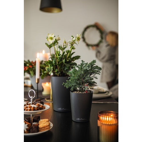 レチューザ　底面給水プランター　デルティーニ　土容量１．２Ｌ　チャコール　14903　1 個