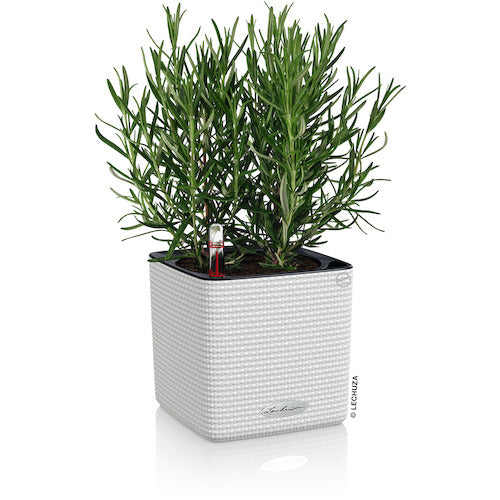 レチューザ　底面給水プランター　キューブカラー１４　ホワイト　13380　1 個