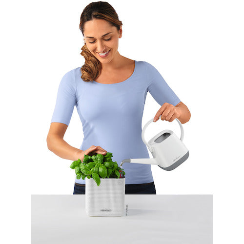 レチューザ　底面給水プランター　キューブカラー１４　ホワイト　13380　1 個