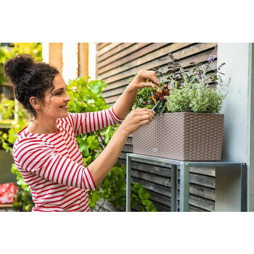 レチューザ　底面給水プランター　バルコネラ　コテージ　サンドブラウン　15446　1 個