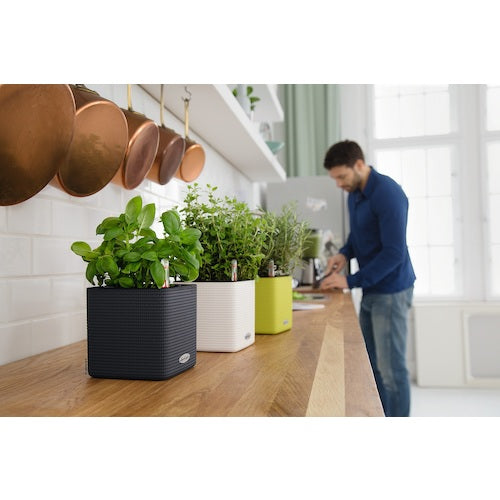 レチューザ　底面給水プランター　キューブカラー１４　サンド　13478　1 個