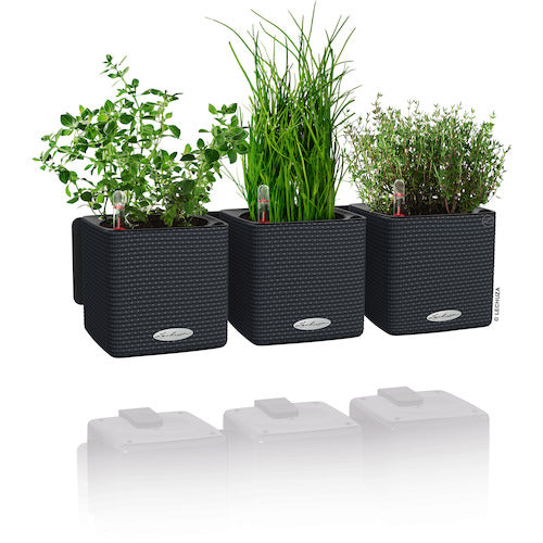 レチューザ　底面給水プランター　キューブカラー１４　サンド　13478　1 個