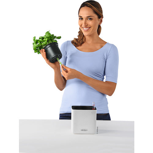 レチューザ　底面給水プランター　キューブカラー１４　サンド　13478　1 個