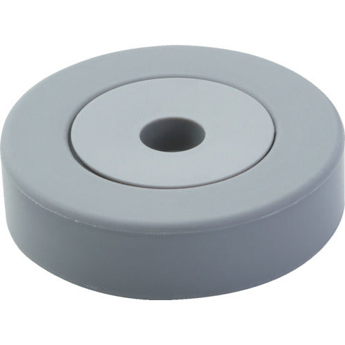 MagEver Rust-free Magnet Silicone NCW-30R Gray Powerful Magnet Neodymium Magnet M3 1130RNCW3062 1 piece
