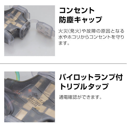 Hataya 2P Grounded Extension Cord 10m Wine Red SX-103K-R 1 Piece