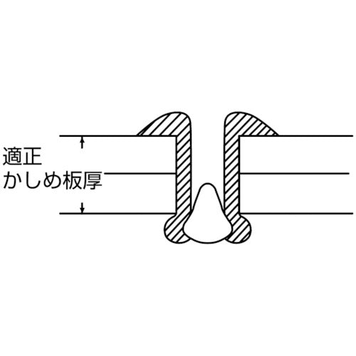 エビ　カラーブラインドリベット４−２アルミ／スチール（３００本入）リベット長６．５ＭＭ　ブロンズ　CNSA42BREB　1 箱