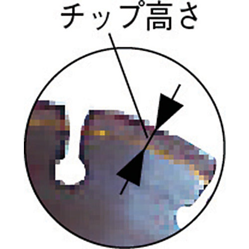 새우 다이아몬드 커터 콘크리트 용 10 인치 22 파이 CX1022 1 장