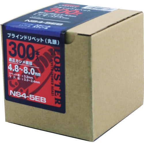 エビ　ブラインドリベット（スティール／スティール製）　４−５（３００本入）　エコＢＯＸ　NS45EB　1 箱