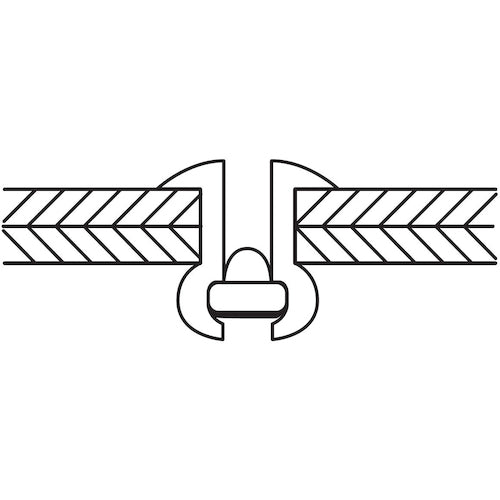 エビ　ブラインドリベット（ステンレス／スティール製）　６−１４（５００本入）　箱入　NSS614　1 箱