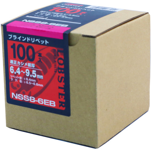 エビ　ブラインドリベット（ステンレス／スティール製）　８−８（１００本入）　エコＢＯＸ　NSS 88EB　1 箱