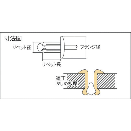 エビ　ブラインドリベット（アルミニウム／ステンレス製）　３−２（１０００本入）　箱入　NTA32　1 箱