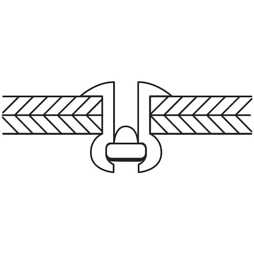 エビ　ブラインドリベット（アルミニウム／ステンレス製）　４−６（１０００本入）　箱入　NTA46　1 箱