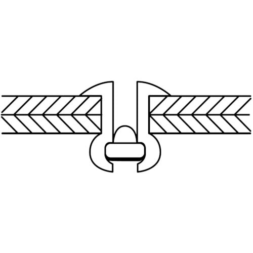 エビ　ブラインドリベット（アルミニウム／ステンレス製）　６−１６（５００本入）　箱入　NTA616　1 箱