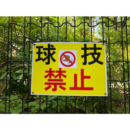 Daio Paper Laser Peach Recycle SEFY-200 A4 (100 sheets) SEFY200A4 1 box