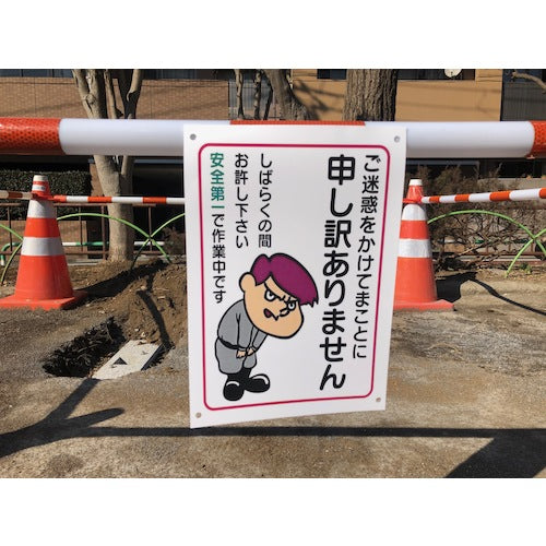 Daio Paper Laser Peach Recycle WEFY-120 A4 (100 sheets) WEFY120A4 1 box