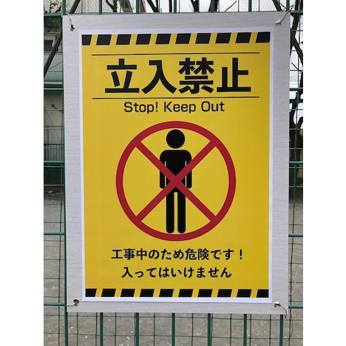 大王製紙　レーザーピーチ　ＳＥＴＹ−６０強粘　Ａ３（２００枚入）　SETY60A3　1 箱