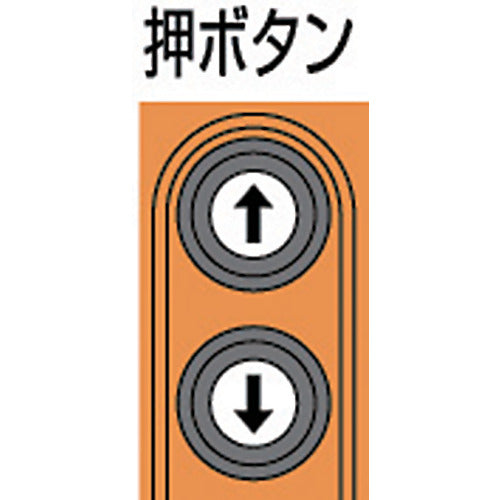 ＫＩＴＯ　電気チェーンブロック　キトーセレクト　２速形　単相２００Ｖ　２４０ｋｇ×３ｍ　EDX24ST　1 台