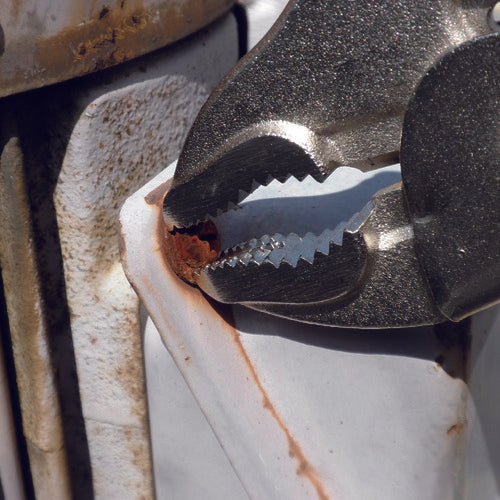 エビ　ネジアンギラス　バイスプライヤータイプ（カッター付）　１２５ｍｍ　VW125NA　1 丁