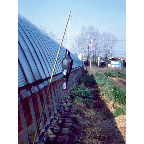 Mitsugiron Bird-proof Kowa Glass, Height 495mm, EG-18 KG-B, 1 piece