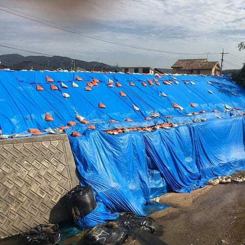 하기와라 【매진 폐번】 타피 에코 패밀리 시트(블루 시트) #3000 9.0m×9.0m ECFM9090 1장