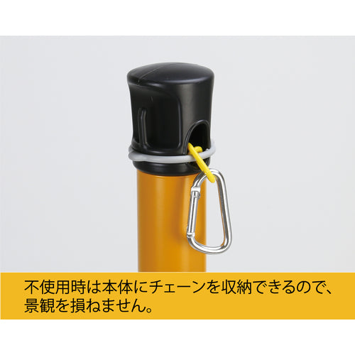 Relex Plastic Chain Built-in Pole Varineo Pro BNP-675YST 1 piece