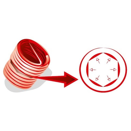 Ferkel Insert Screw (Screw Locking) M5 x 0.8mm 1D (100 pieces) 05208 1 bag