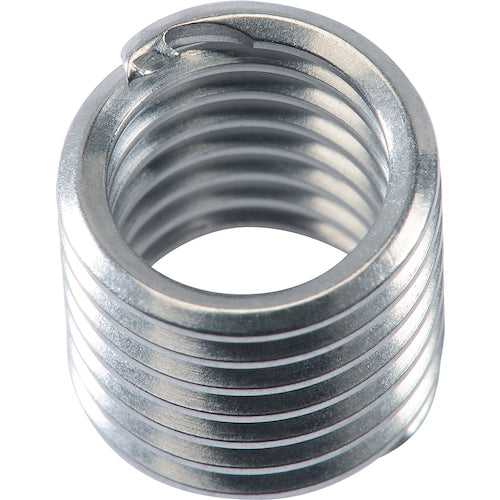 페르켈 인서트 나사 키트(텅스텐) M10×1.5mm 09015 1 S